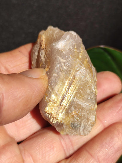 Rutilated Quartz Gold Raw Collector Grade Rarity ~ Magical Gemstone Decor Crystal Healing Stone Mineral Collection Energy Nature Meditation HIPPIE