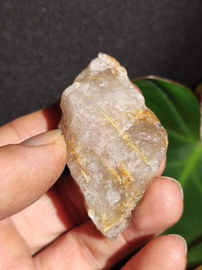 Rutilated Quartz Gold Raw Collector Grade Rarity ~ Magical Gemstone Decor Crystal Healing Stone Mineral Collection Energy Nature Meditation HIPPIE