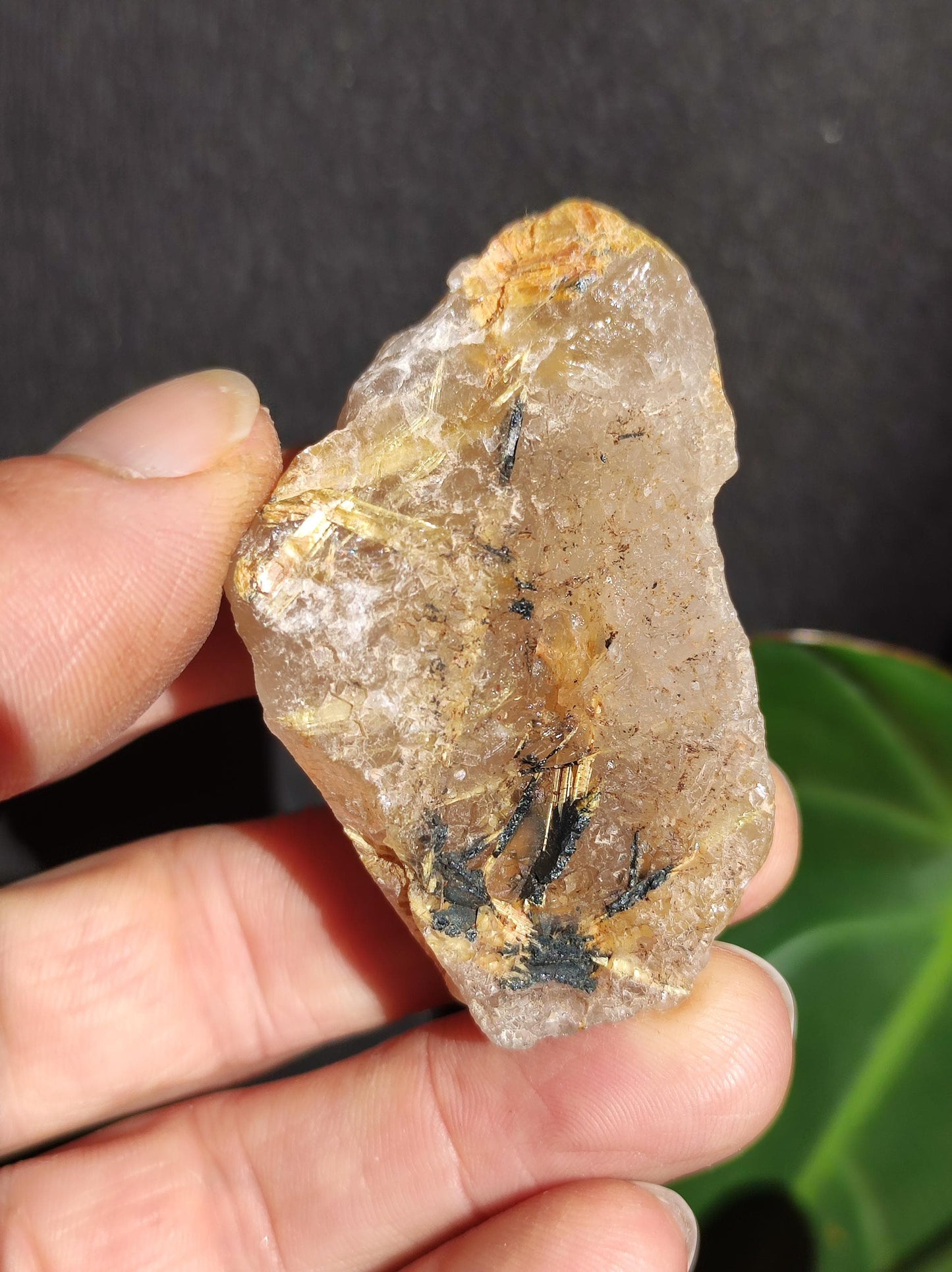 Rutilated Quartz Gold Raw Collector Grade Rarity ~ Magical Gemstone Decor Crystal Healing Stone Mineral Collection Energy Nature Meditation HIPPIE