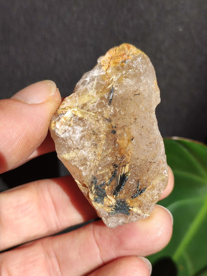 Rutilated Quartz Gold Raw Collector Grade Rarity ~ Magical Gemstone Decor Crystal Healing Stone Mineral Collection Energy Nature Meditation HIPPIE
