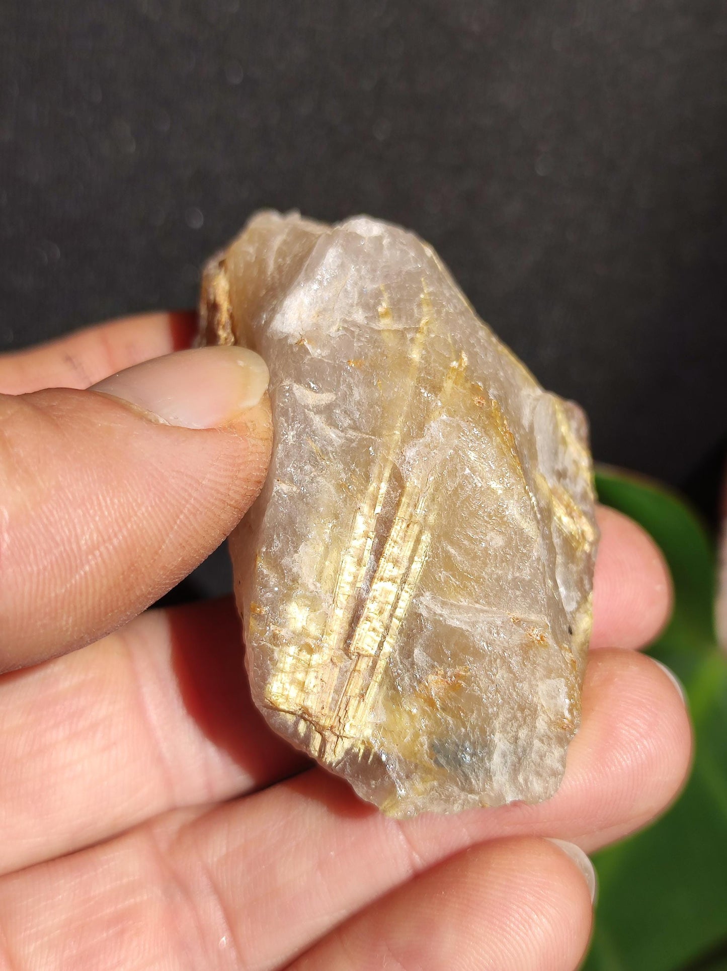 Rutilated Quartz Gold Raw Collector Grade Rarity ~ Magical Gemstone Decor Crystal Healing Stone Mineral Collection Energy Nature Meditation HIPPIE
