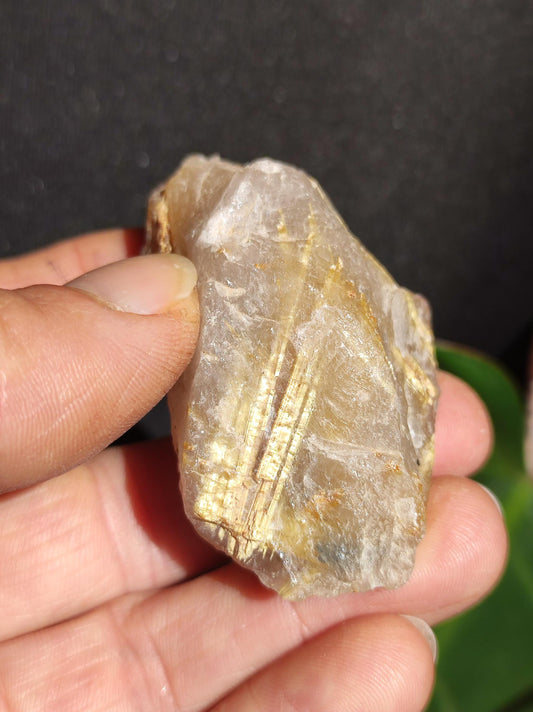 Quartz rutile doré brut Spécimen de collection Rareté ~ Décoration magique en pierres précieuses Cristal Pierre de guérison Collection de minéraux Énergie Nature Méditation HIPPIE