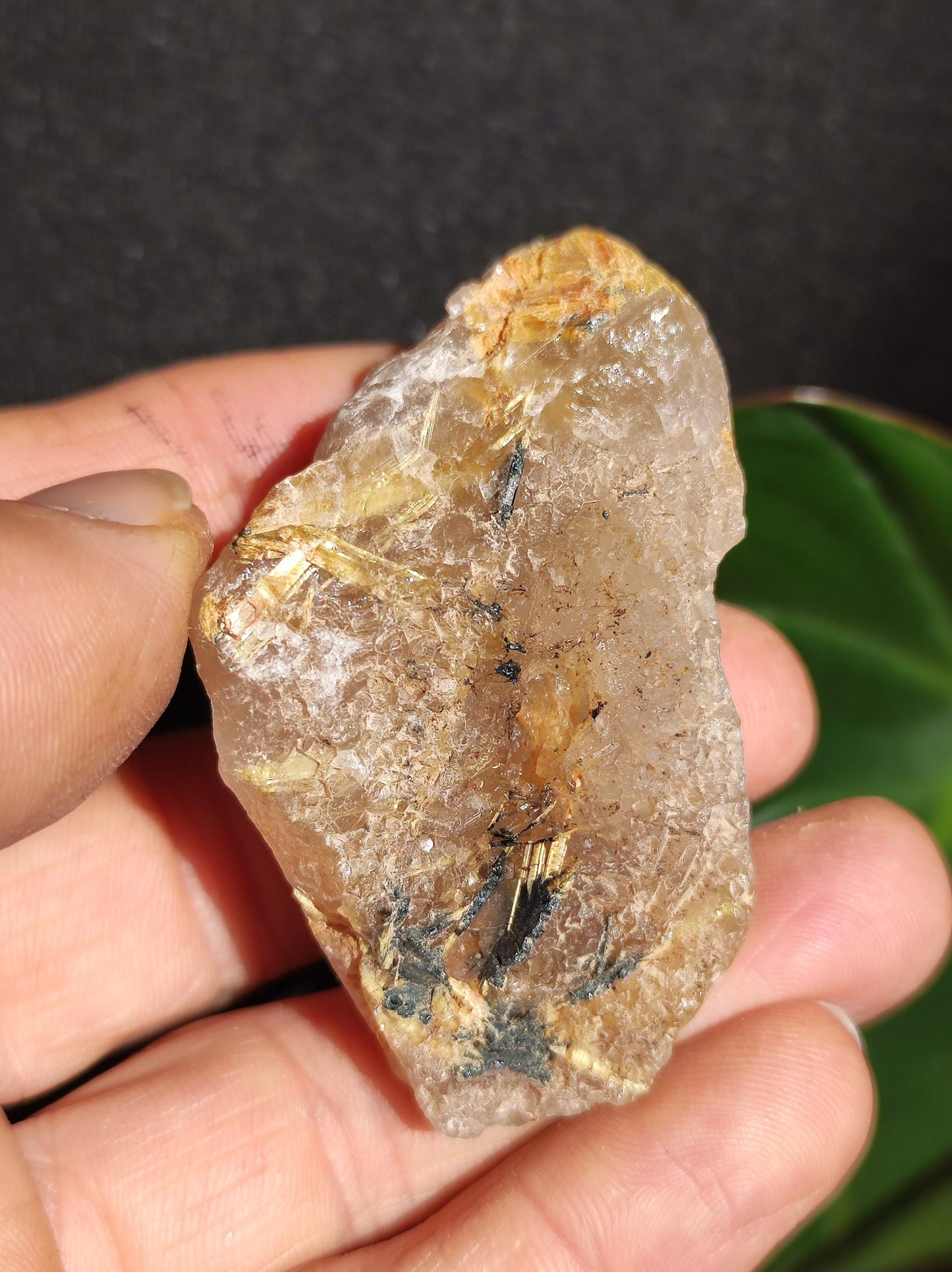 Rutilated Quartz Gold Raw Collector Grade Rarity ~ Magical Gemstone Decor Crystal Healing Stone Mineral Collection Energy Nature Meditation HIPPIE