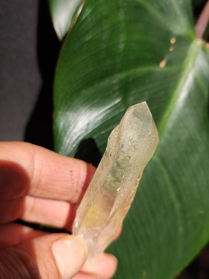 Pointe de Quartz Citron XL Objet de collection Rareté Pierre précieuse Décoration Cristal Pierre de guérison Minéral Collection Énergie Nature Méditation HIPPIE jaune nature
