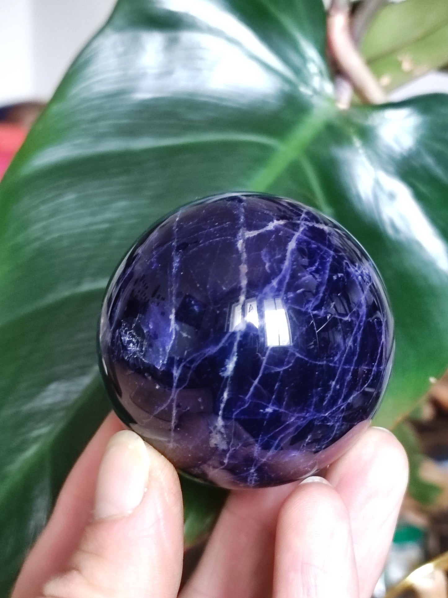 Sodalith - Edelstein Kugel Deko Sphere Massage Kristall Spielkugel Meditation Heilstein Frau Mann Geschenk Er Sie Haus Energie Traum Wohnen