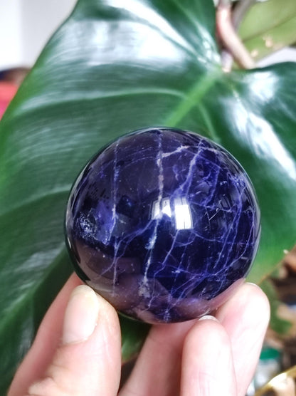 Sodalith - Edelstein Kugel Deko Sphere Massage Kristall Spielkugel Meditation Heilstein Frau Mann Geschenk Er Sie Haus Energie Traum Wohnen