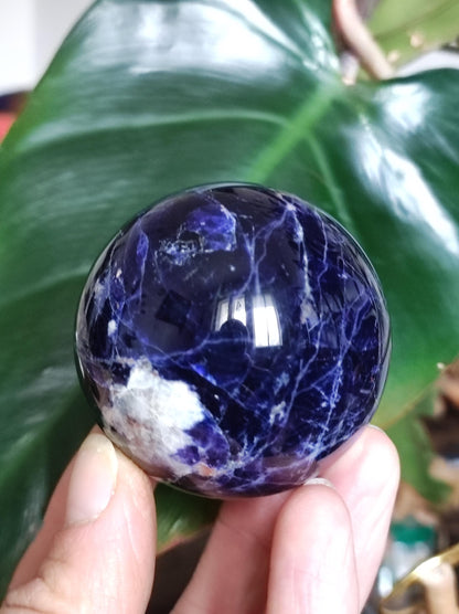 Sodalith - Edelstein Kugel Deko Sphere Massage Kristall Spielkugel Meditation Heilstein Frau Mann Geschenk Er Sie Haus Energie Traum Wohnen