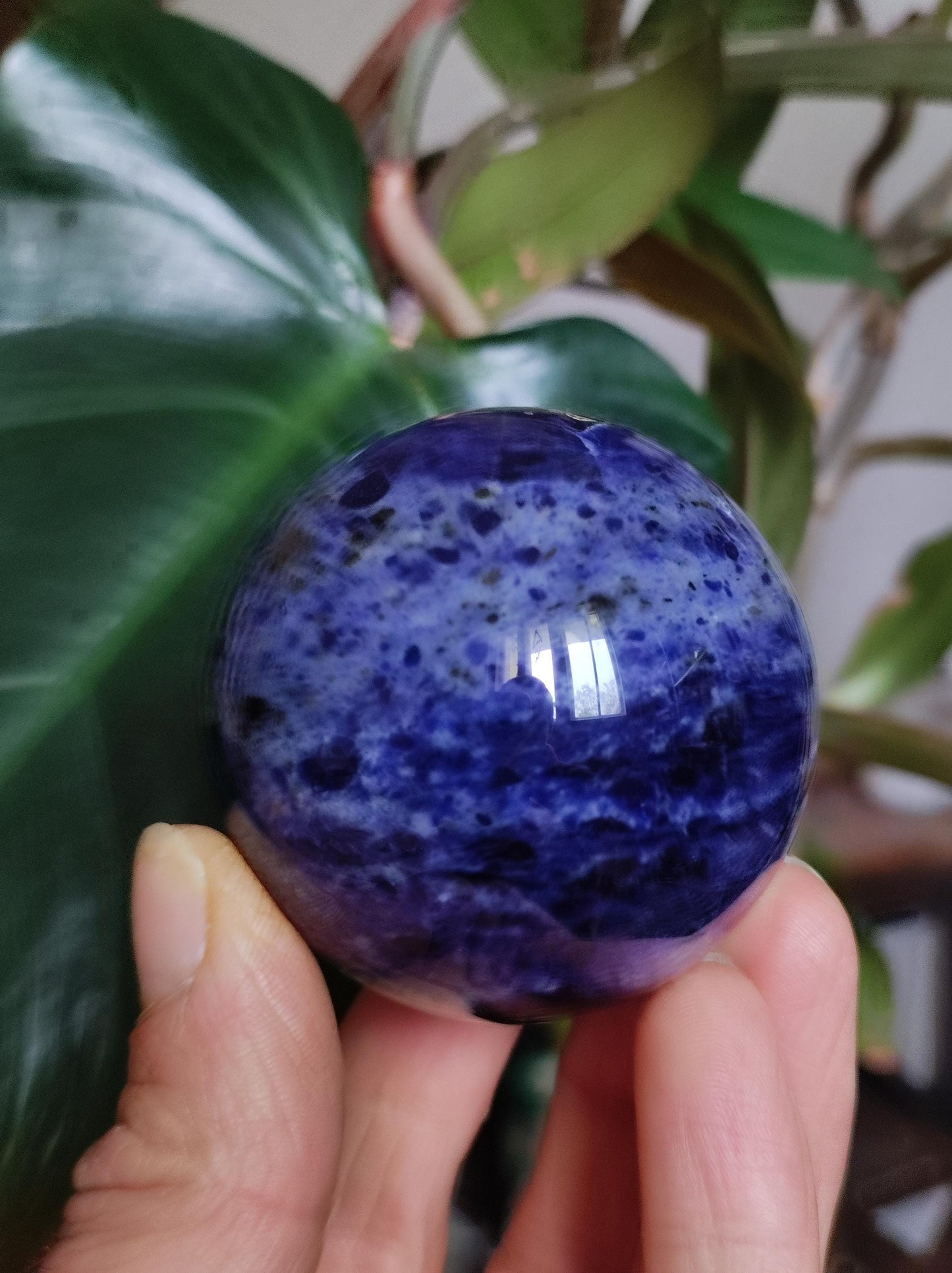 Sodalith - Edelstein Kugel Deko Sphere Massage Kristall Spielkugel Meditation Heilstein Frau Mann Geschenk Er Sie Haus Energie Traum Wohnen