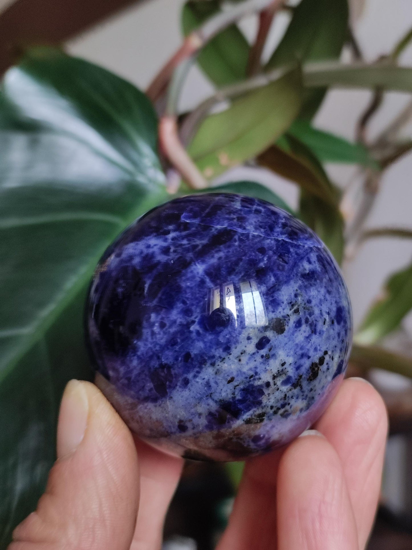 Sodalith - Edelstein Kugel Deko Sphere Massage Kristall Spielkugel Meditation Heilstein Frau Mann Geschenk Er Sie Haus Energie Traum Wohnen