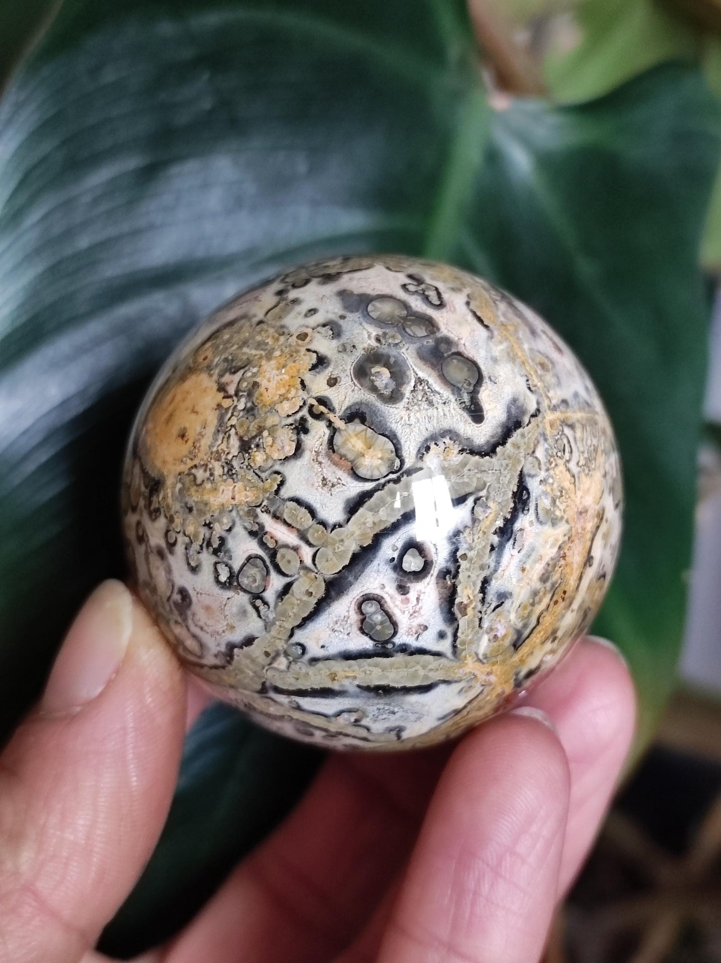 Leopard Jasper Red Yellow ~ Magical Gemstone Sphere Collector's Decor Crystal Sphere Meditation Home Living Energy Chakra Healing Stone