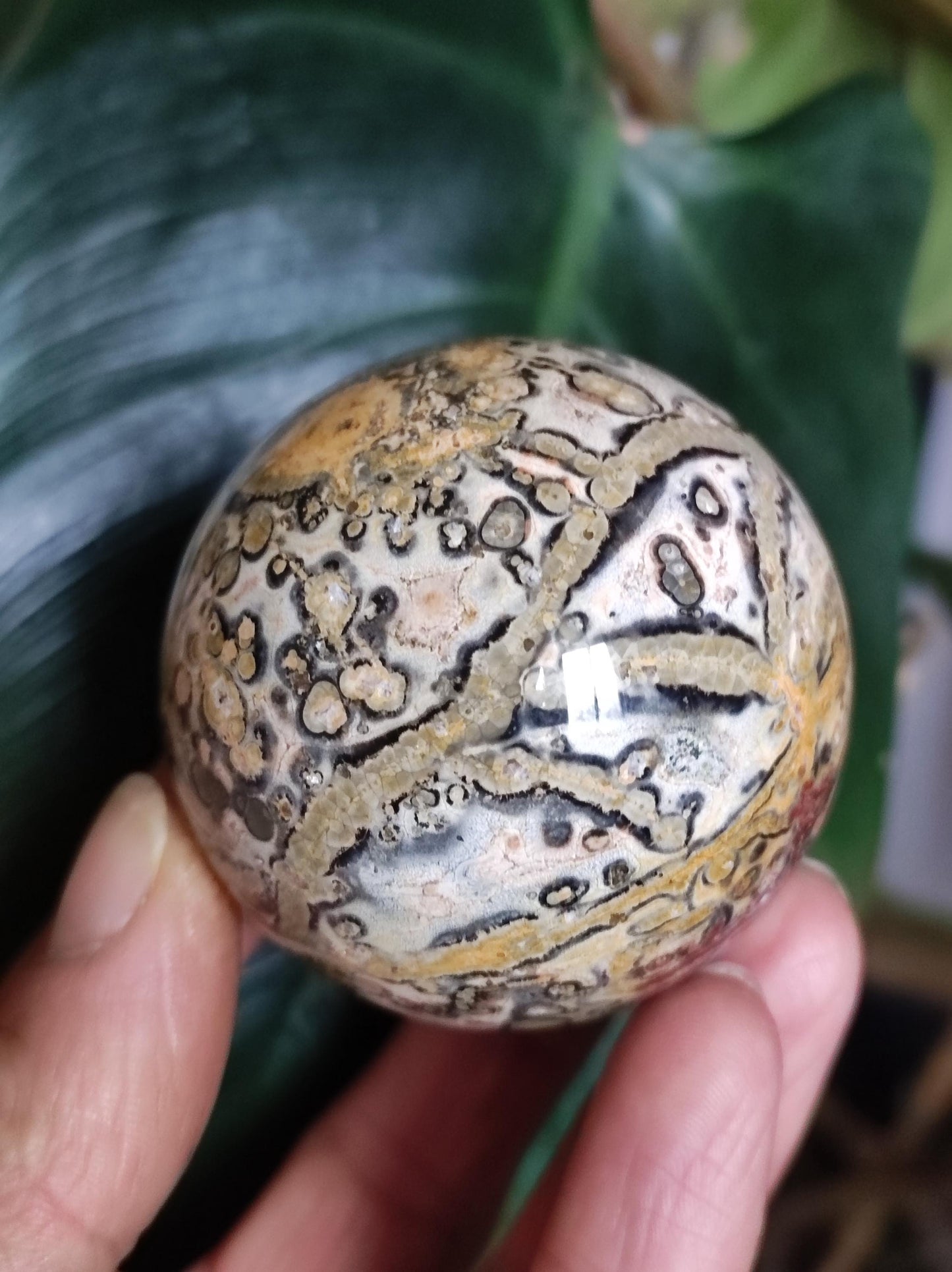 Leopard Jasper Red Yellow ~ Magical Gemstone Sphere Collector's Decor Crystal Sphere Meditation Home Living Energy Chakra Healing Stone