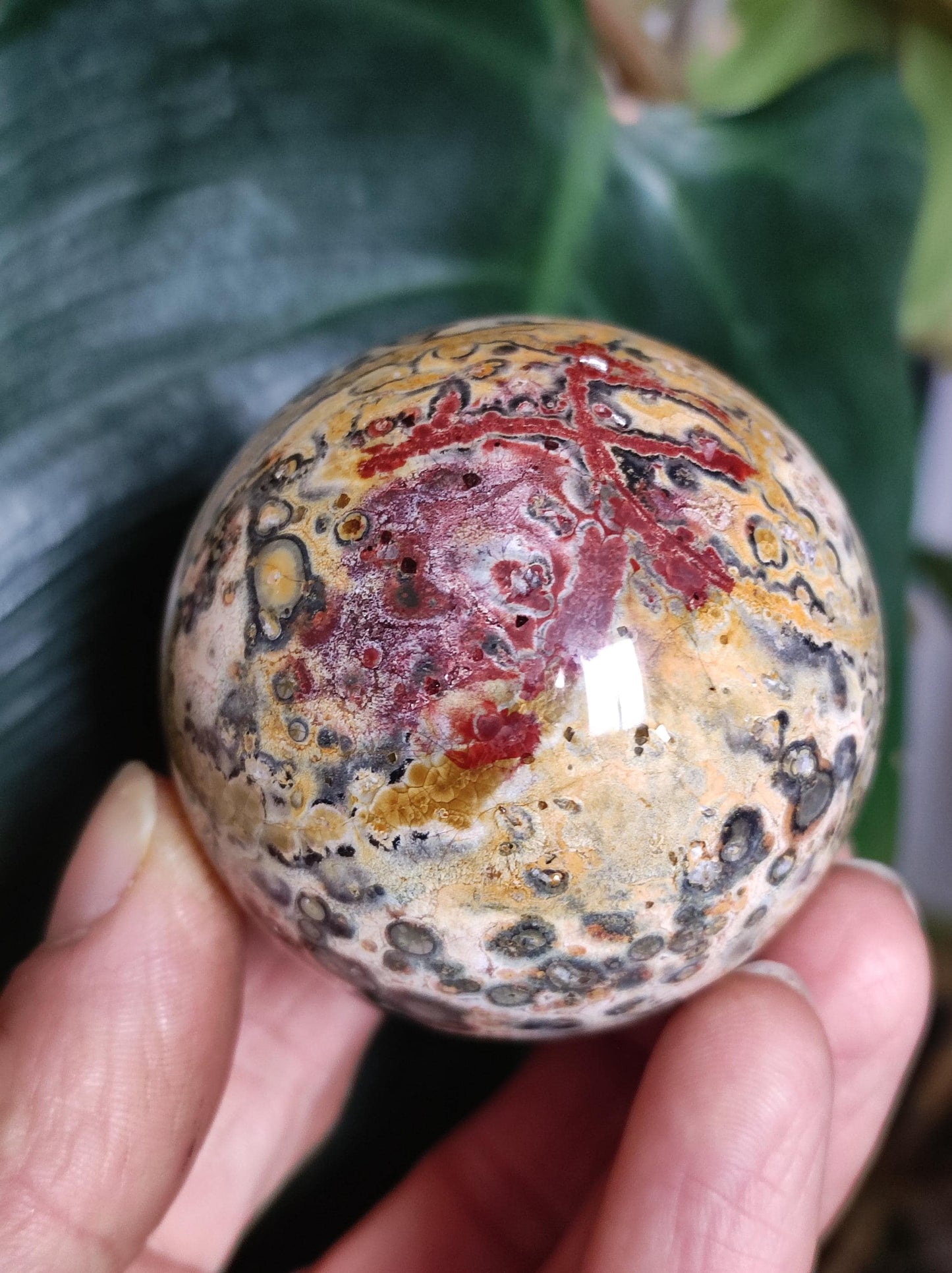 Leopard Jasper Red Yellow ~ Magical Gemstone Sphere Collector's Decor Crystal Sphere Meditation Home Living Energy Chakra Healing Stone