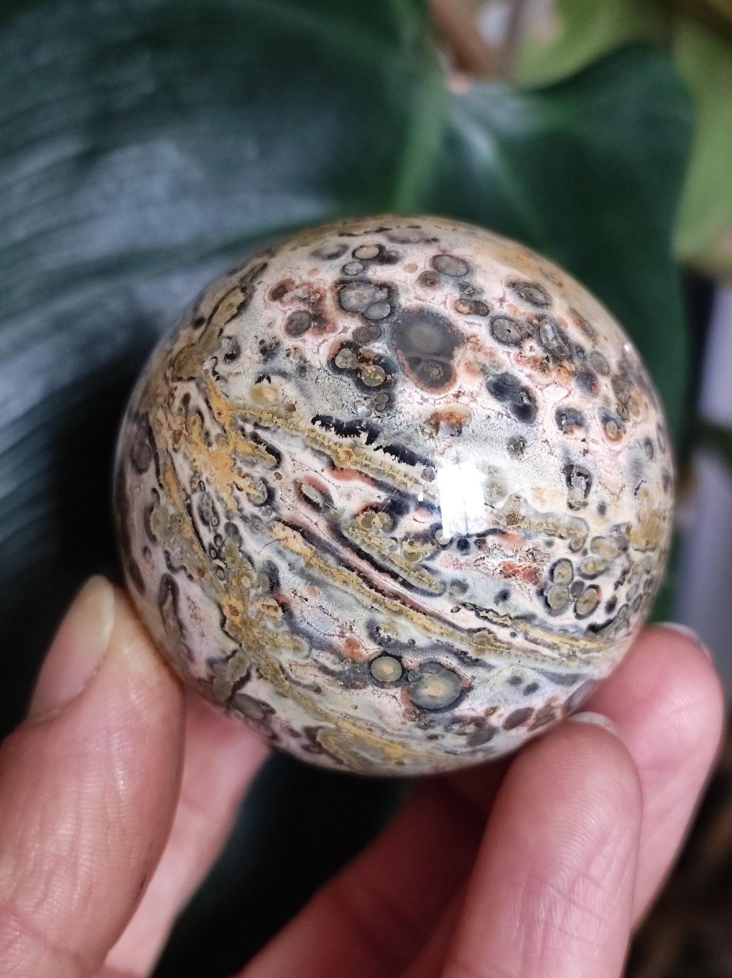 Leopard Jasper Red Yellow ~ Magical Gemstone Sphere Collector's Decor Crystal Sphere Meditation Home Living Energy Chakra Healing Stone