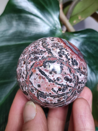 Leopard Jasper red yellow ~ Magic Gemstone Ball Collector Decoration Crystal Crystal Sphere Meditation Home Living Energy Chakra Healing Stone