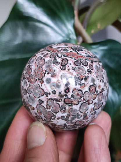 Leopard Jasper red yellow ~ Magic Gemstone Ball Collector Decoration Crystal Crystal Sphere Meditation Home Living Energy Chakra Healing Stone
