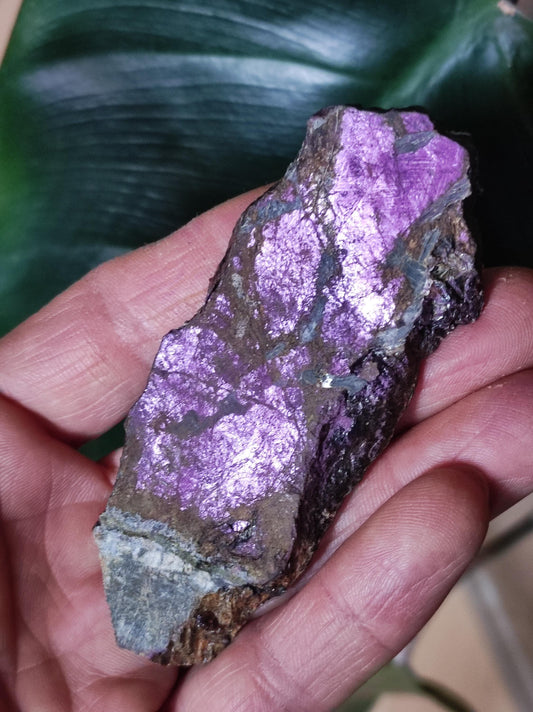 XL Purpurite Collector Raw Specimen Decor Mineral Africa Namibia Healing Stone Crystals Man Woman Child Gift Him Her Brother Sister Mineral Decor