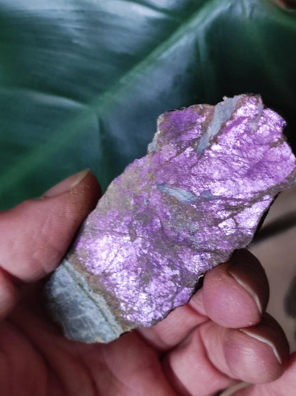 XL Purpurite de collection brute D grade décoration minérale Afrique Namibie pierre de guérison cristaux homme femme enfant cadeau pour lui elle frère sœur minéral décoration