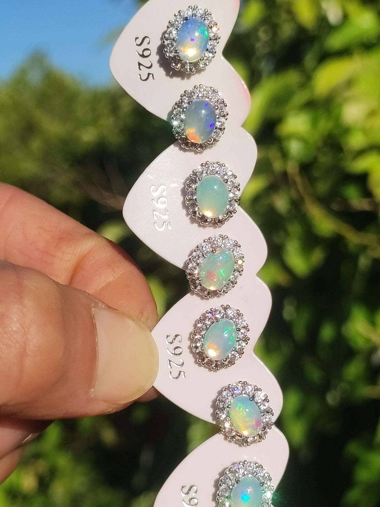 Ethiopian Opal AAA - 925 Sterling Silber Ohrstecker bunt Ohrringe Edelstein Heilstein Energie Frau Geschenk Schmuck Hochwertig Edel Rarität