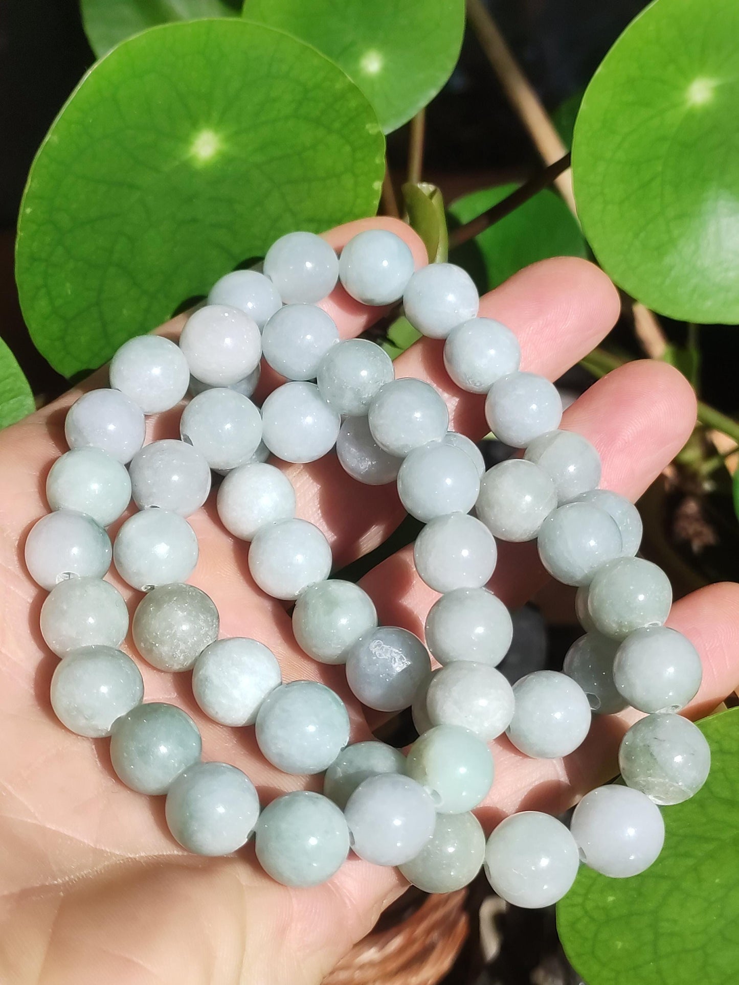 Jade Birmanie 10 - 11 mm ~ Bracelet de pierres précieuses extensible de haute qualité Jade vert naturel Myanmar GOA Hippie Boho Nature Pierre de guérison Énergie Chakra