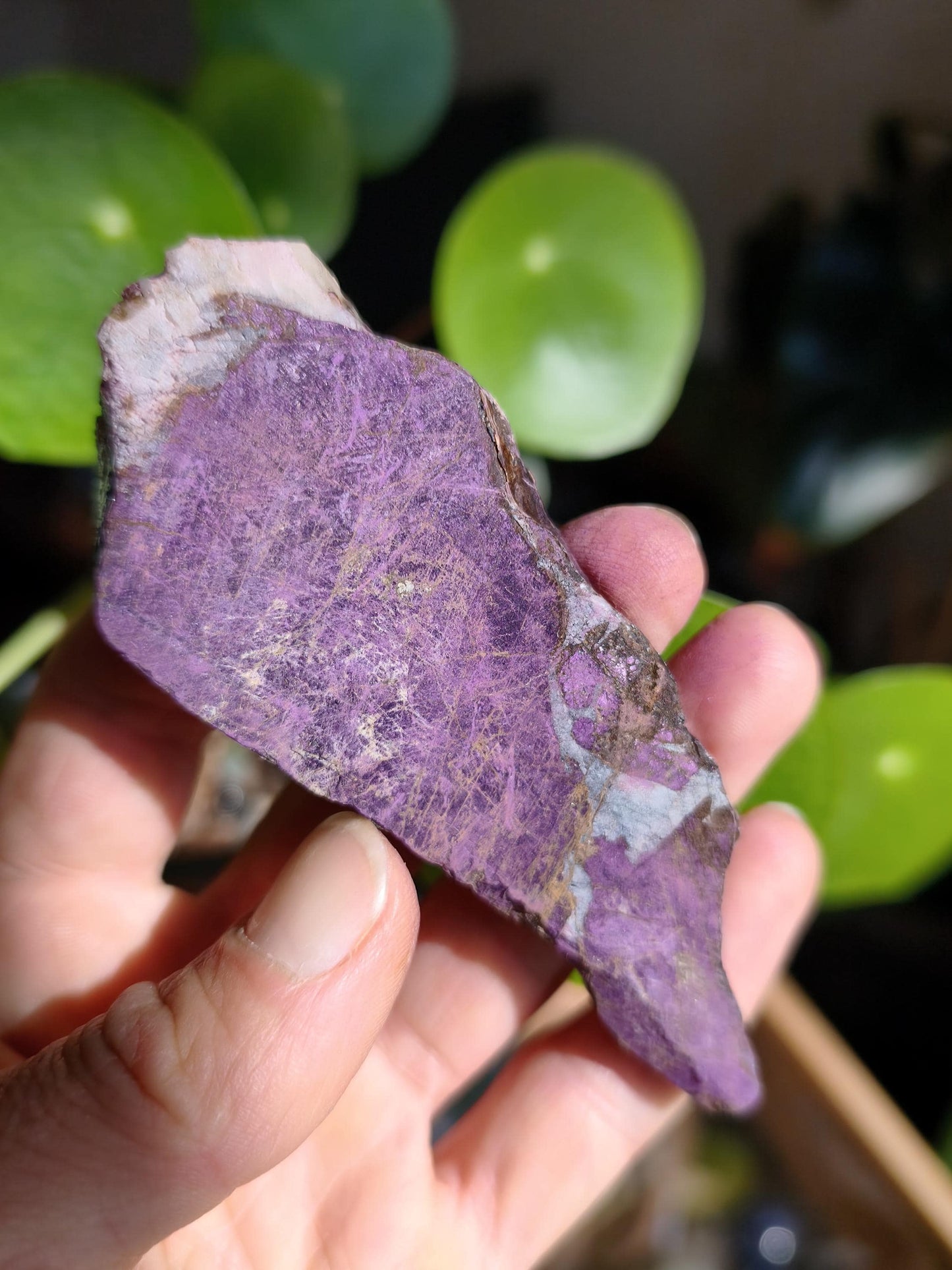 XL Purpurite Collector Raw Specimen Decor Mineral Africa Namibia Healing Stone Crystals Man Woman Child Gift Him Her Brother Sister Mineral Decor