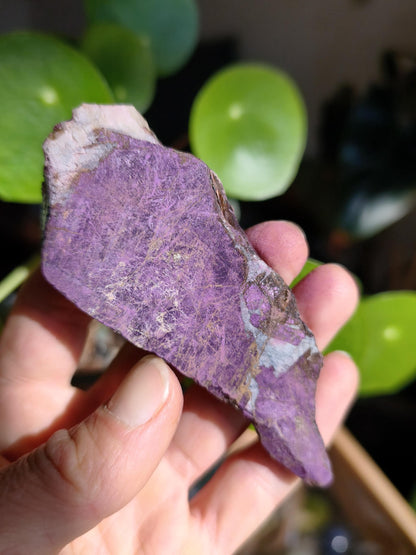 XL Purpurite Collector Raw Specimen Decor Mineral Africa Namibia Healing Stone Crystals Man Woman Child Gift Him Her Brother Sister Mineral Decor
