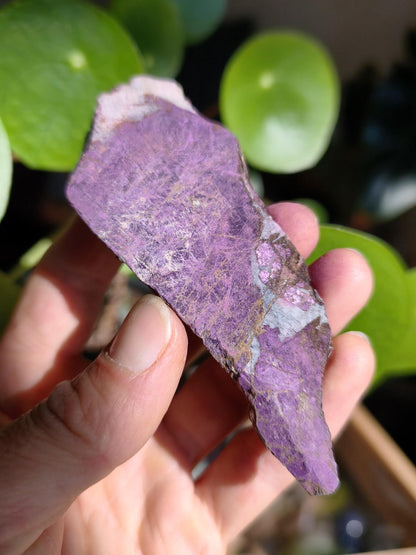 XL Purpurite Collector Raw Specimen Decor Mineral Africa Namibia Healing Stone Crystals Man Woman Child Gift Him Her Brother Sister Mineral Decor
