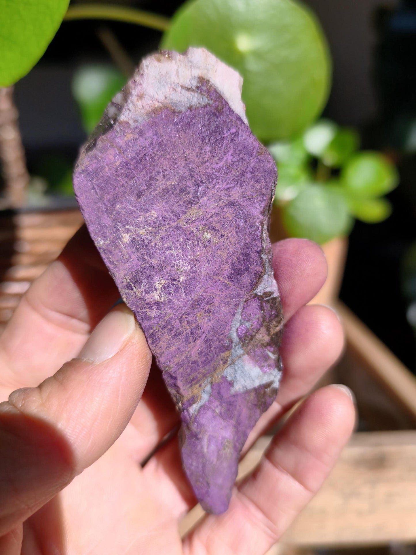 XL Purpurite Collector Raw Specimen Decor Mineral Africa Namibia Healing Stone Crystals Man Woman Child Gift Him Her Brother Sister Mineral Decor