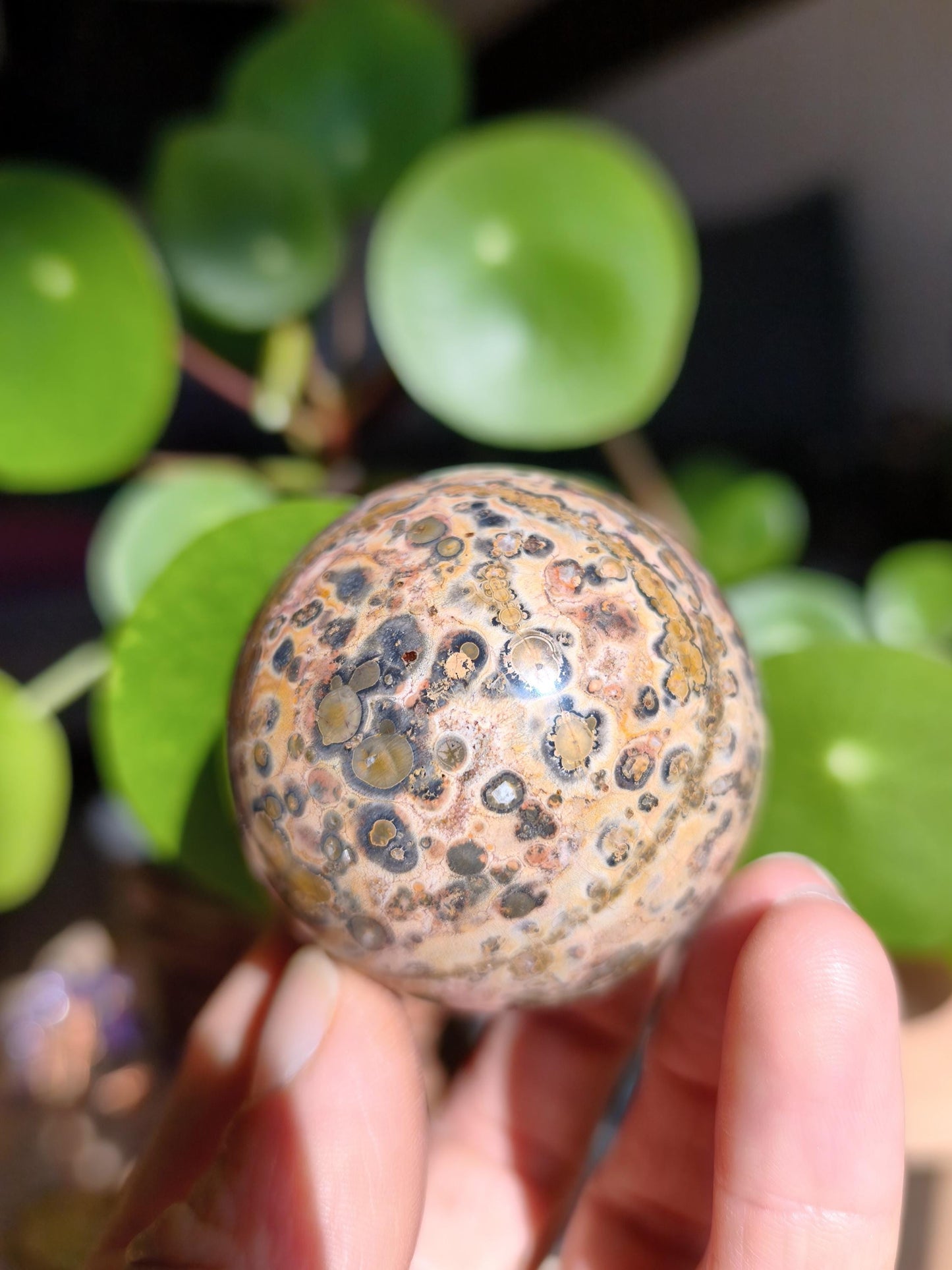 Leopard Jasper Red Yellow ~ Magical Gemstone Sphere Collector's Decor Crystal Sphere Meditation Home Living Energy Chakra Healing Stone