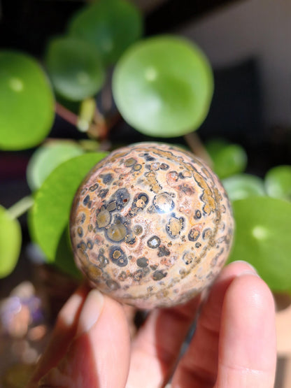 Leopard Jasper Red Yellow ~ Magical Gemstone Sphere Collector's Decor Crystal Sphere Meditation Home Living Energy Chakra Healing Stone