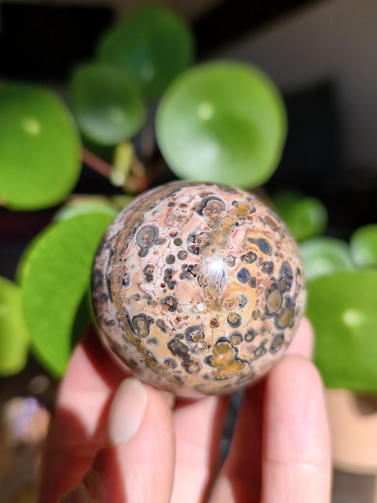 Leopard Jasper Red Yellow ~ Magical Gemstone Sphere Collector's Decor Crystal Sphere Meditation Home Living Energy Chakra Healing Stone