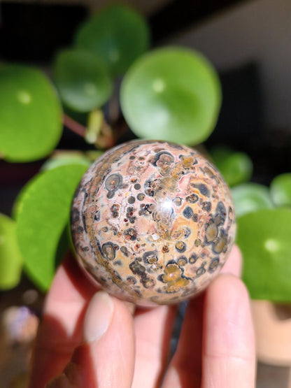 Leopard Jasper Red Yellow ~ Magical Gemstone Sphere Collector's Decor Crystal Sphere Meditation Home Living Energy Chakra Healing Stone