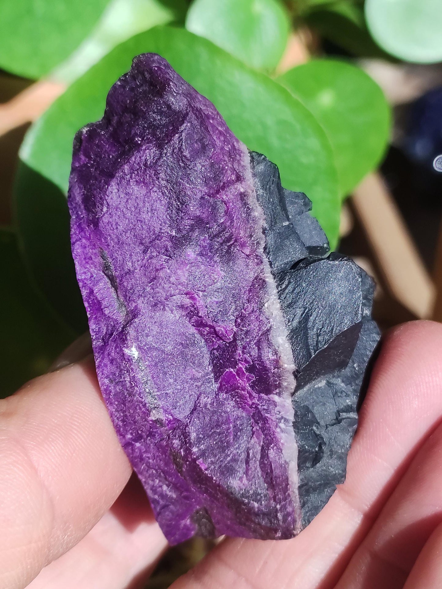 Sugilith Roh -A- *Rarität* Sugilite ~  Edelstein Deko Kristall Meditation Energie Heilstein Rarität Selten Sammler Investition Wertanlage
