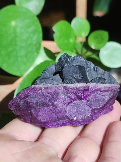 Sugilith Roh -A- *Rarität* Sugilite ~  Edelstein Deko Kristall Meditation Energie Heilstein Rarität Selten Sammler Investition Wertanlage