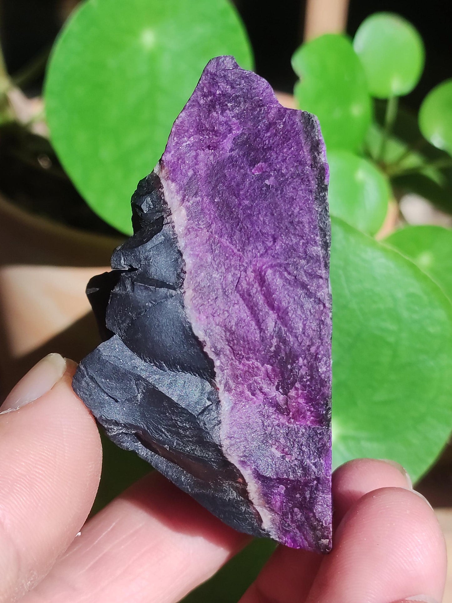 Sugilith Roh -A- *Rarität* Sugilite ~  Edelstein Deko Kristall Meditation Energie Heilstein Rarität Selten Sammler Investition Wertanlage