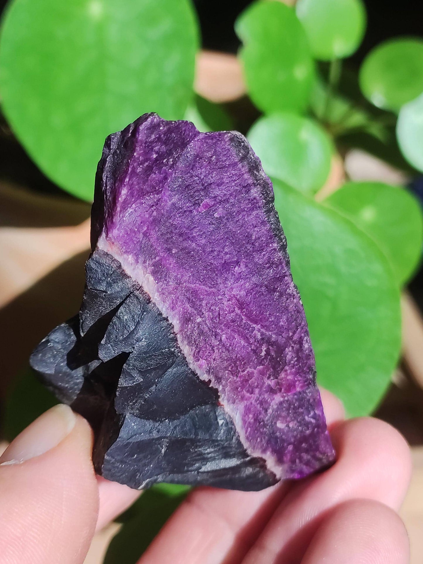 Sugilith Roh -A- *Rarität* Sugilite ~  Edelstein Deko Kristall Meditation Energie Heilstein Rarität Selten Sammler Investition Wertanlage
