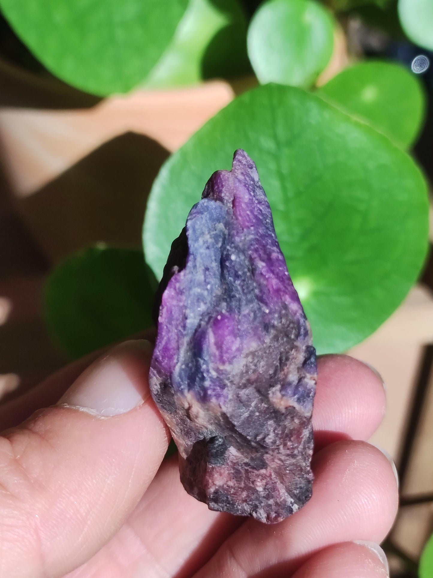 Sugilite & Richterite Bruts A *Rareté* ~ Pierre précieuse Décoration Cristal Méditation Énergie Lithothérapie Rareté Rare Collection Investissement Valeur