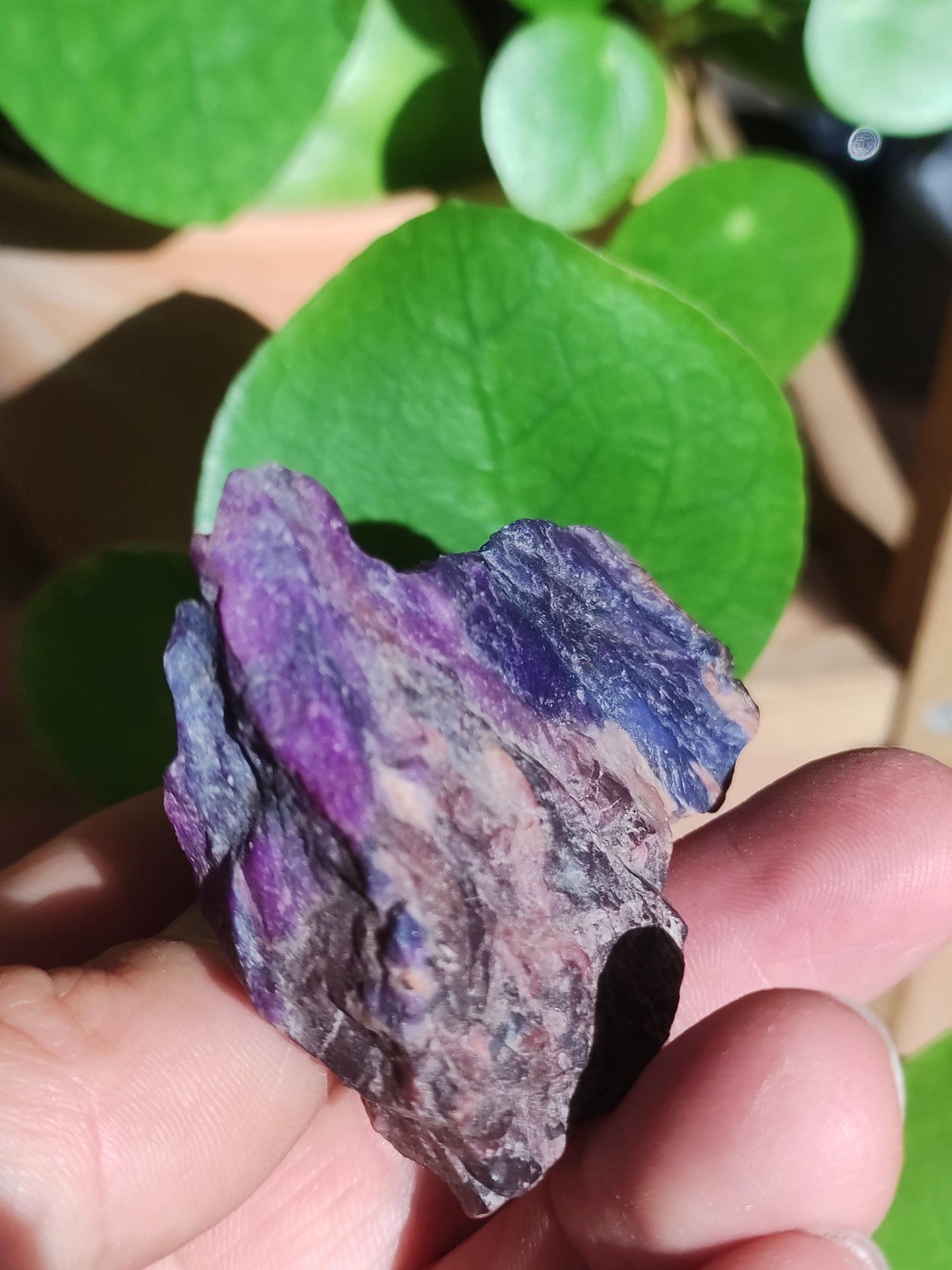 Sugilite & Richterite Bruts A *Rareté* ~ Pierre précieuse Décoration Cristal Méditation Énergie Lithothérapie Rareté Rare Collection Investissement Valeur