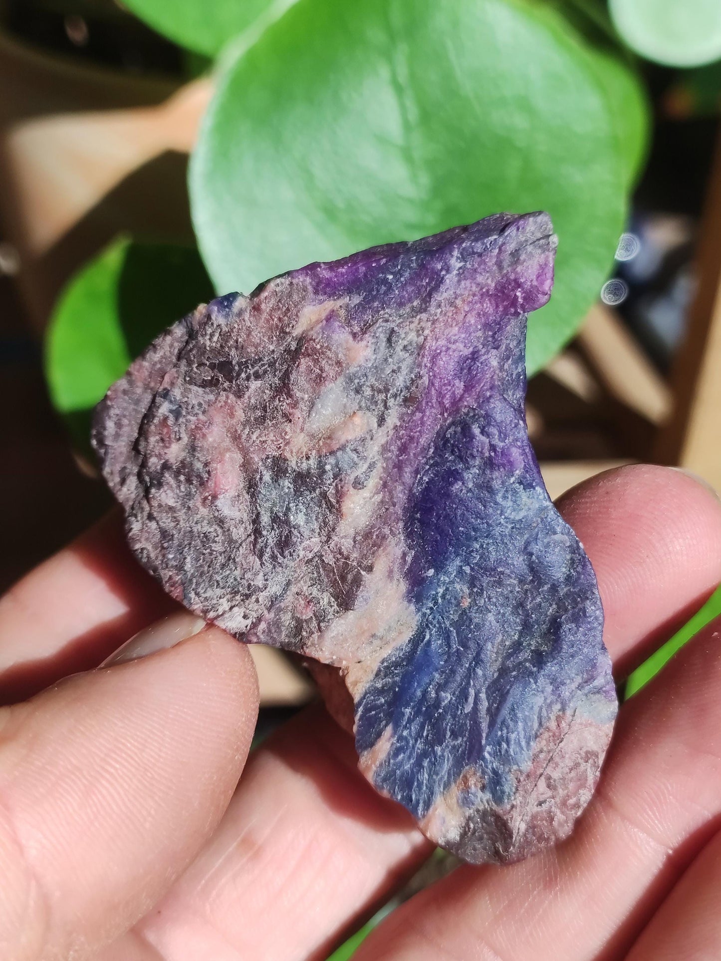 Sugilite & Richterite Bruts A *Rareté* ~ Pierre précieuse Décoration Cristal Méditation Énergie Lithothérapie Rareté Rare Collection Investissement Valeur