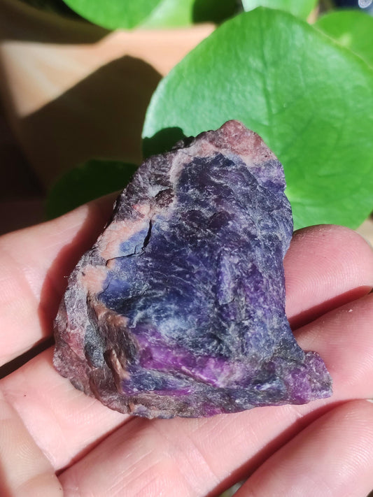 Sugilite & Richterite Rough A *Rarity* ~ Gemstone Decor Crystal Meditation Energy Healing Stone Rarity Rare Collector Investment Value