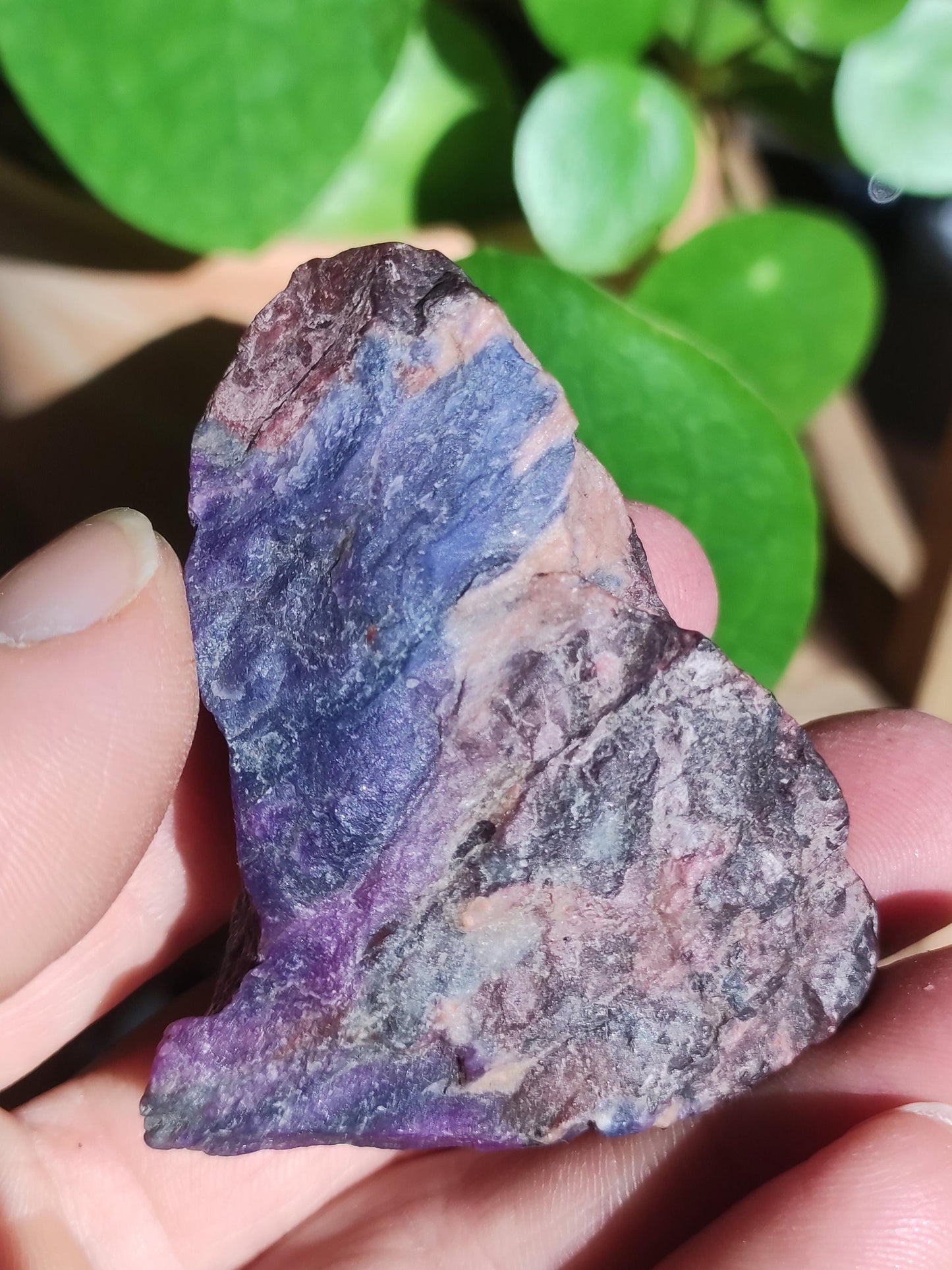 Sugilite & Richterite Bruts A *Rareté* ~ Pierre précieuse Décoration Cristal Méditation Énergie Lithothérapie Rareté Rare Collection Investissement Valeur
