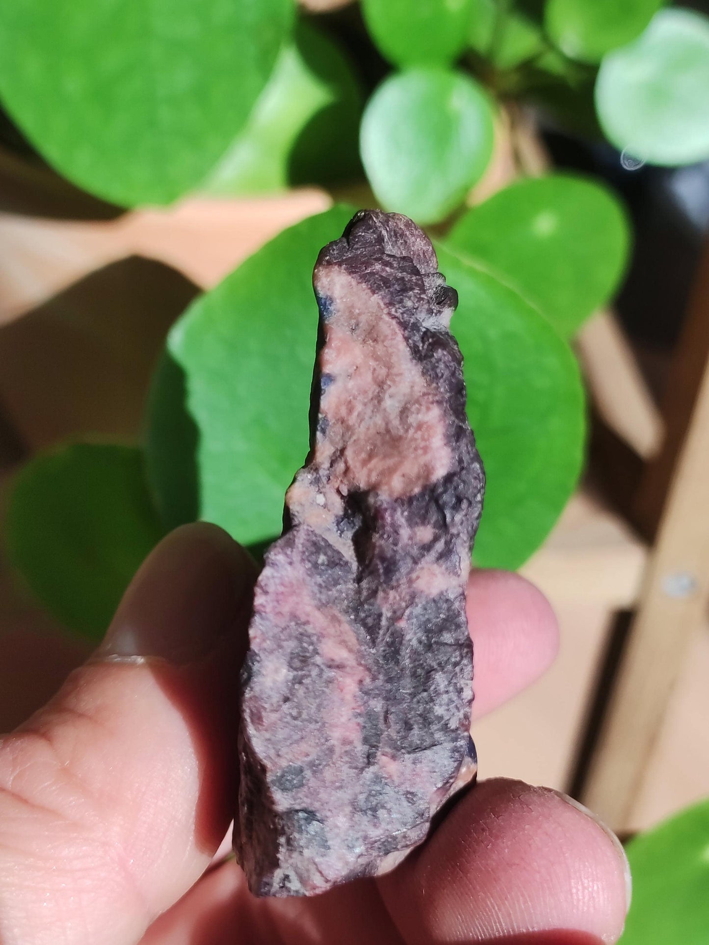 Sugilite & Richterite Bruts A *Rareté* ~ Pierre précieuse Décoration Cristal Méditation Énergie Lithothérapie Rareté Rare Collection Investissement Valeur