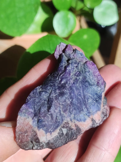 Sugilite & Richterite Bruts A *Rareté* ~ Pierre précieuse Décoration Cristal Méditation Énergie Lithothérapie Rareté Rare Collection Investissement Valeur