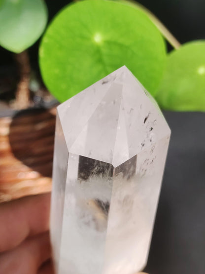 XL Quartz Rock Crystal Point Collector Grade Rarity Gemstone Decor Natural Crystal Healing Stone Mineral Collection Energy Natural Meditation Home