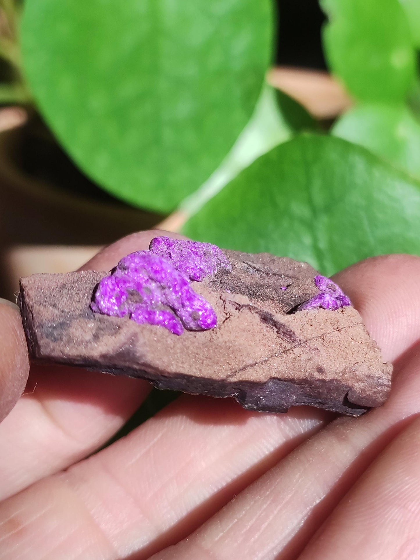 Collectionneur Sugilite SET Brut Fibreuse Sugilite + 4x Pierres Roulées AAA Pierre Précieuse Décoration Cristal Pierre de Guérison Rareté Rare Rareté Qualité Cadeau