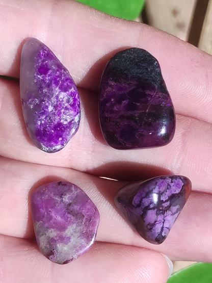 Collectionneur Sugilite SET Brut Fibreuse Sugilite + 4x Pierres Roulées AAA Pierre Précieuse Décoration Cristal Pierre de Guérison Rareté Rare Rareté Qualité Cadeau