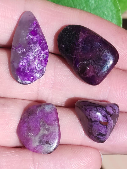 Collectionneur Sugilite SET Brut Fibreuse Sugilite + 4x Pierres Roulées AAA Pierre Précieuse Décoration Cristal Pierre de Guérison Rareté Rare Rareté Qualité Cadeau