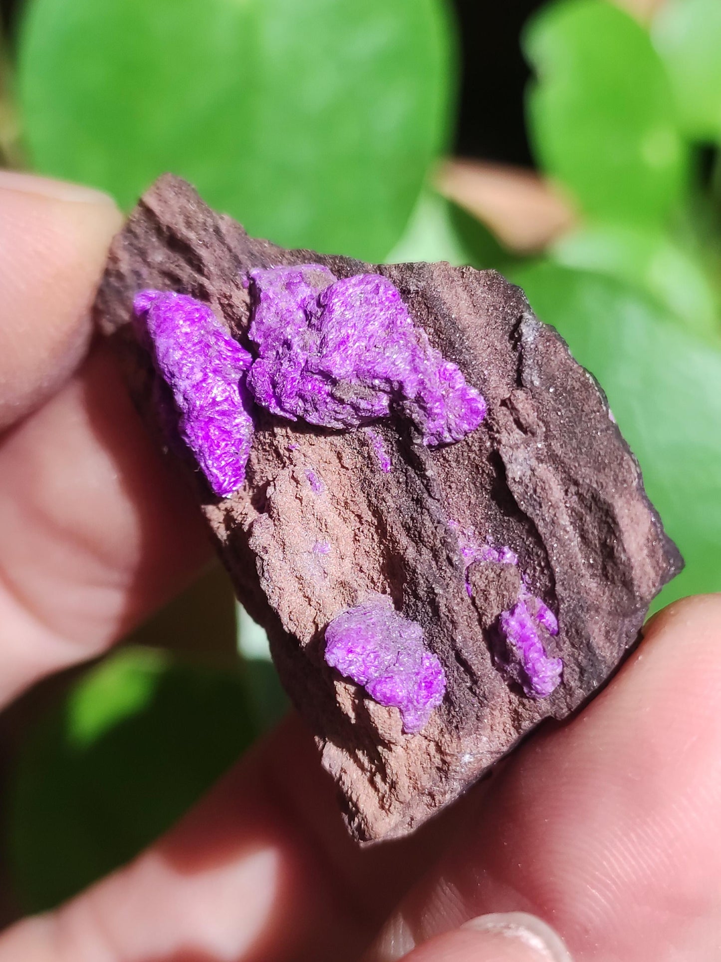 Collectionneur Sugilite SET Brut Fibreuse Sugilite + 4x Pierres Roulées AAA Pierre Précieuse Décoration Cristal Pierre de Guérison Rareté Rare Rareté Qualité Cadeau