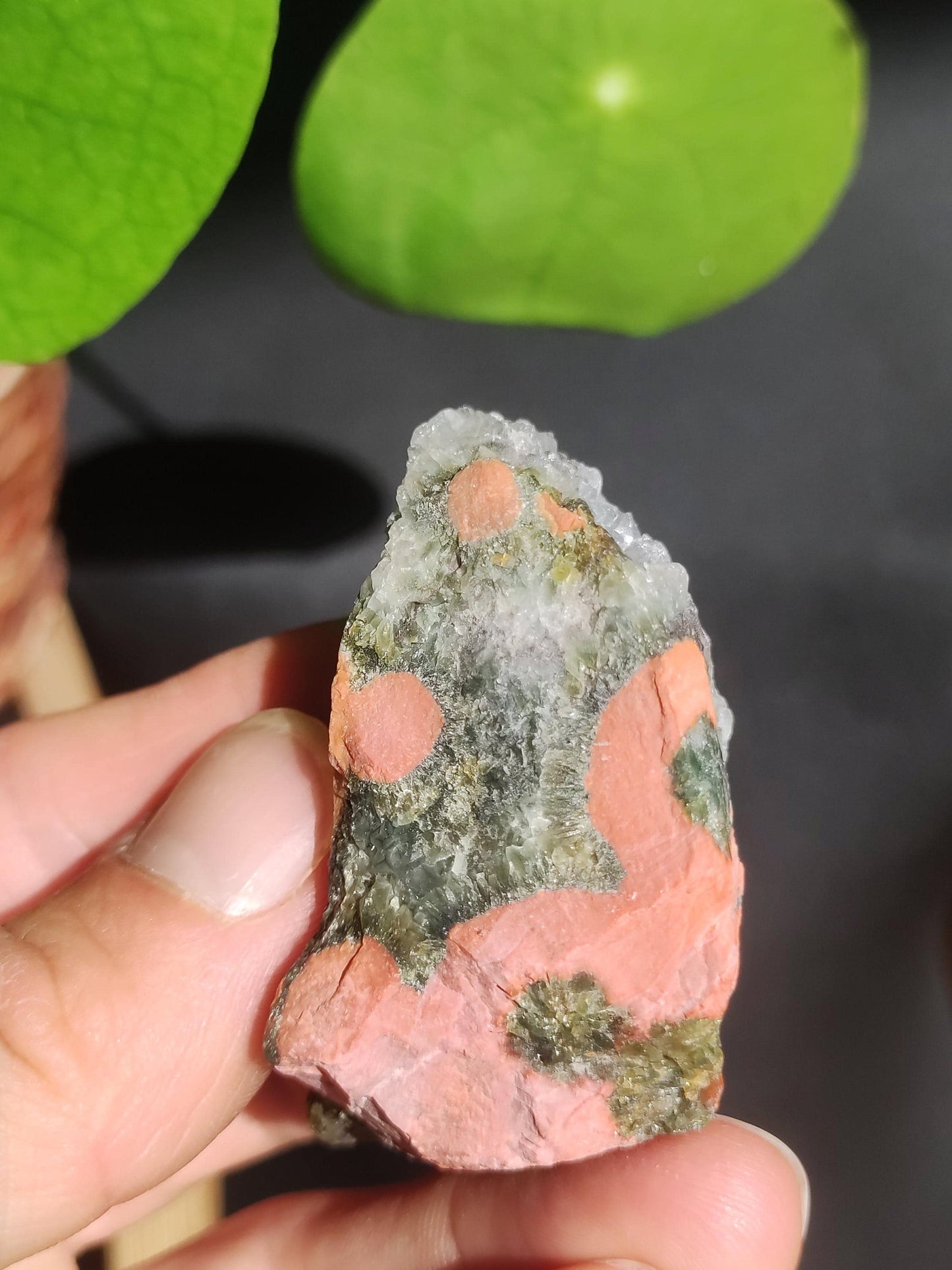 8 Adern Ocean Jaspis Orbicular + Geode roh Stufe XL Stein Rarität Natur Heilstein Deko Kristall Geschenk Er Sie Mann Frau Selten Sammler