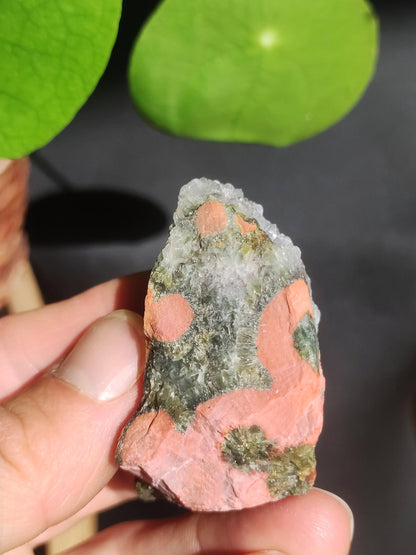8 Adern Ocean Jaspis Orbicular + Geode roh Stufe XL Stein Rarität Natur Heilstein Deko Kristall Geschenk Er Sie Mann Frau Selten Sammler