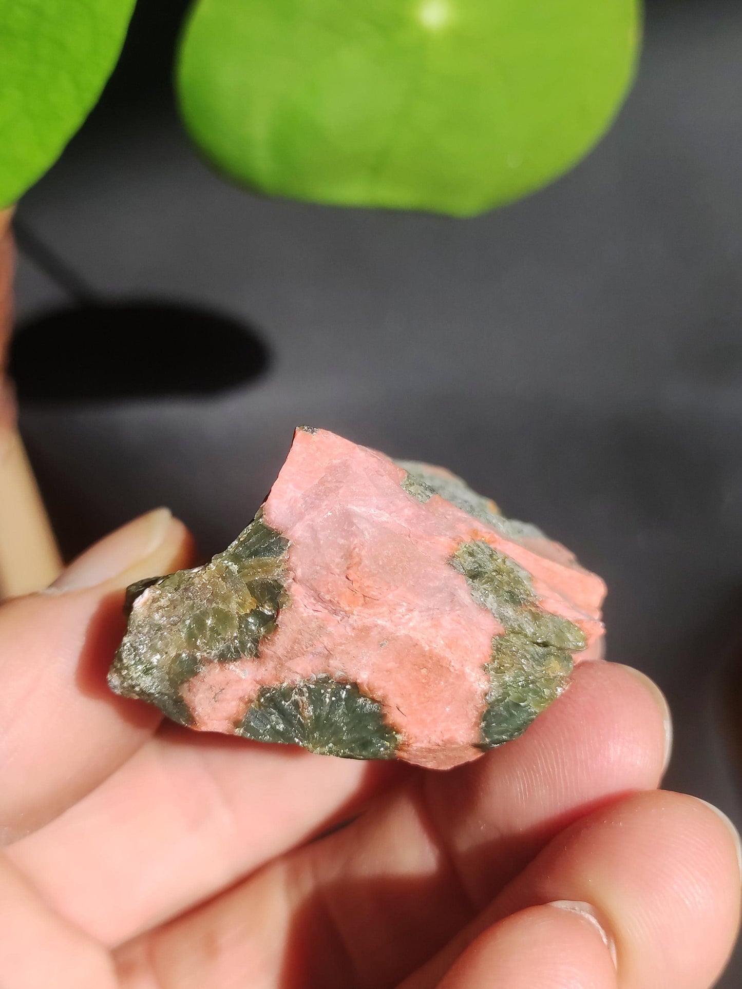 8 Adern Ocean Jaspis Orbicular + Geode roh Stufe XL Stein Rarität Natur Heilstein Deko Kristall Geschenk Er Sie Mann Frau Selten Sammler